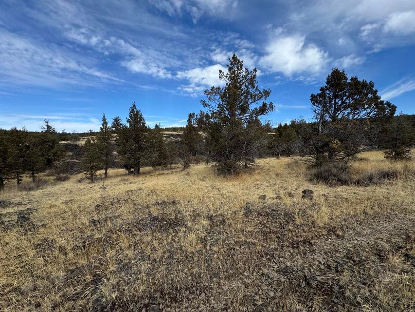 Photo of 3000 Ochoco Land & Livestock 1 of 1