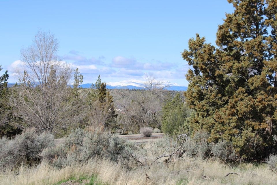 Photo of 202 SE Larkspur Drive 1 of 1