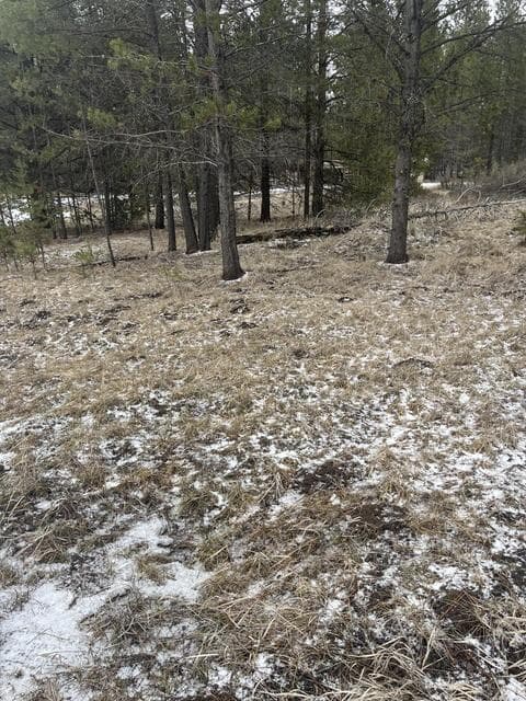 Photo of 54680 Caribou Drive 1 of 1