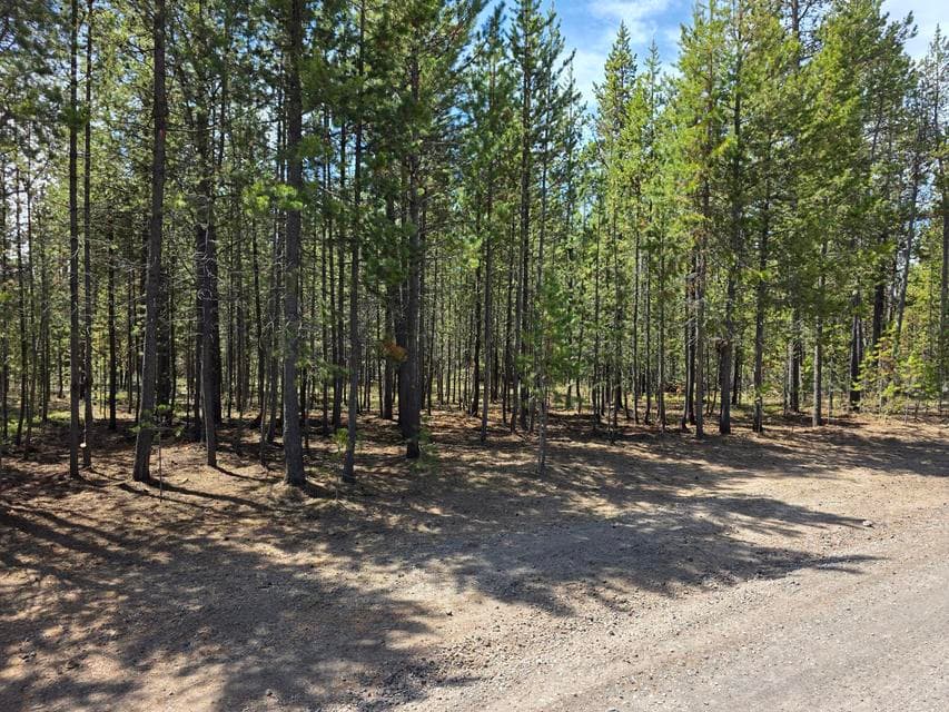 Photo of 17109 Elsinore Road 1 of 1