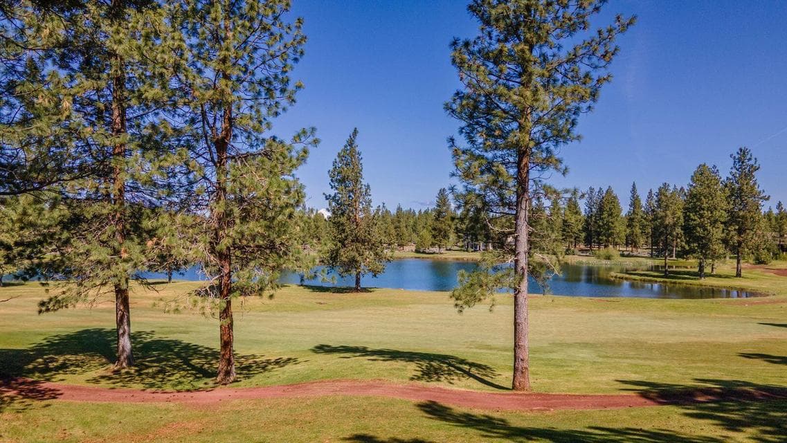 Photo of 16932 Royal Coachman Drive 1 of 1