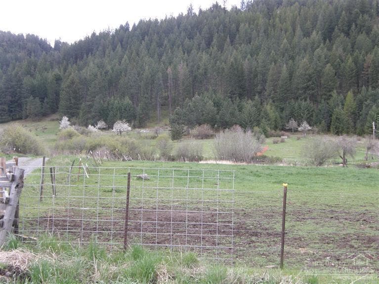 A look of the bottom ground and another