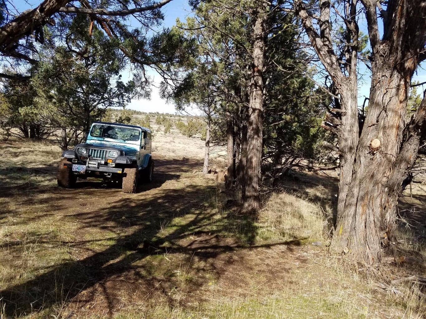 0 Dawn Drive, Macdoel, 96023