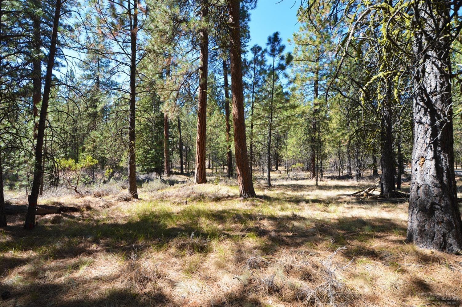 13675 Hawks Beard, Black Butte Ranch, 97759