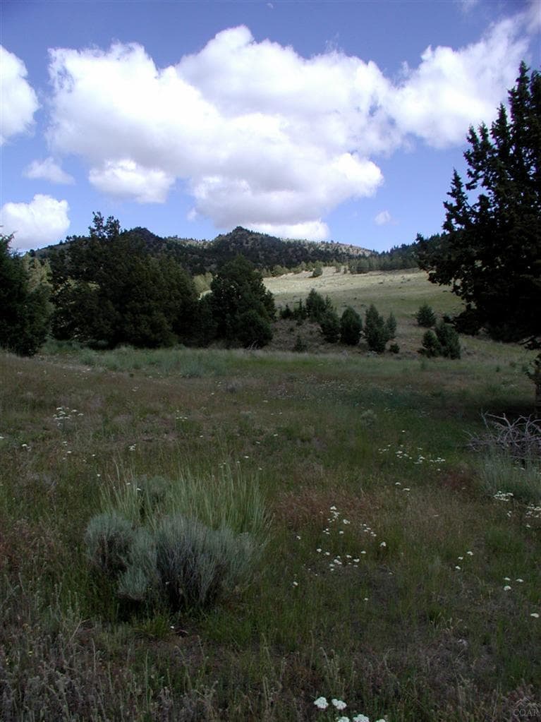 Photo of 0 Gosner 2 of 12