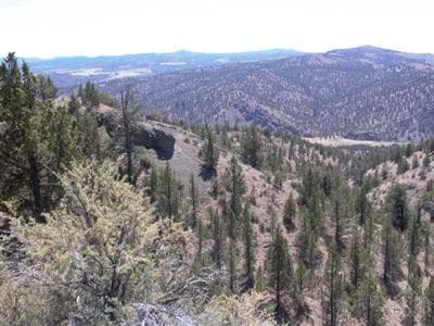 0 Jack Rabbit Trail, Post