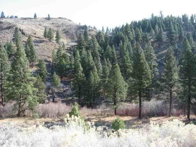 0 Usfs 33, Paisley, 97636