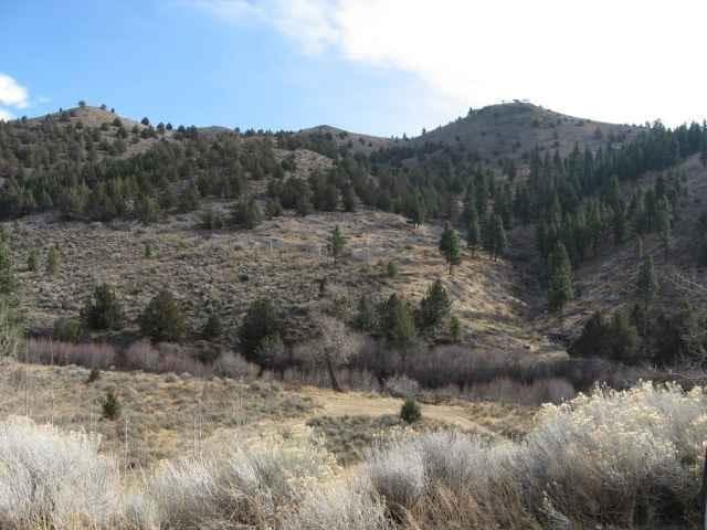 Photo of 0 Usfs 33 2 of 4