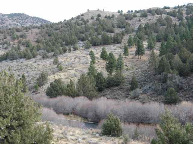 Photo of 0 Usfs 33 3 of 4