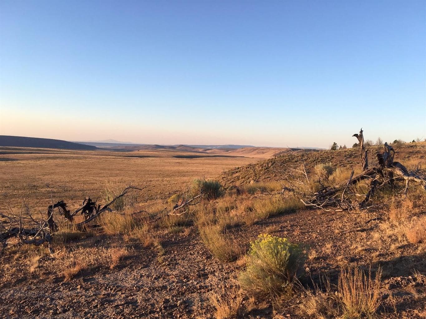 0 Mule springs, Plush, 97637