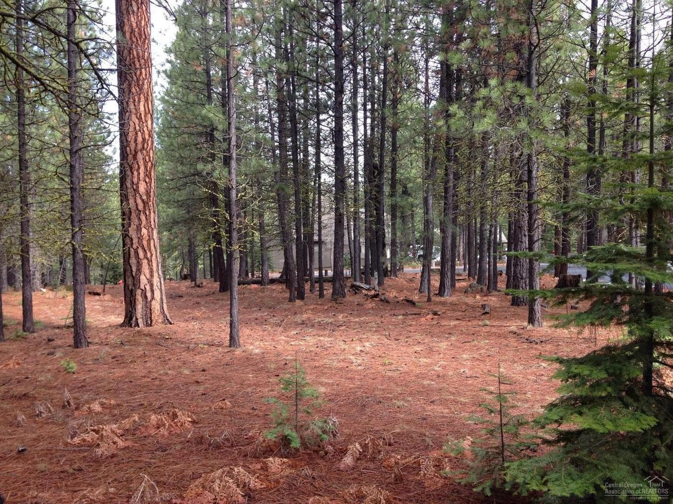 13369 Hawksbeard, Black Butte Ranch, 97759