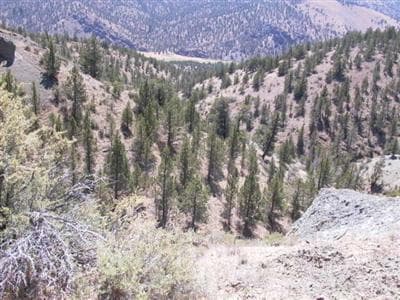 Photo of 0 Jack Rabbit 4 of 4