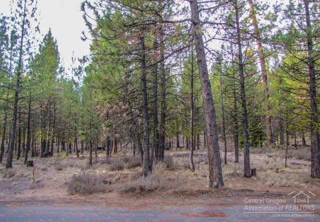 70661 Steeple Bush SM202, Black Butte Ranch, 97759