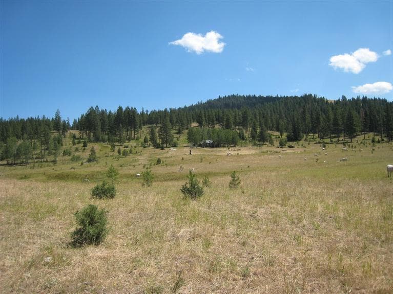39131 Hog Creek, Long Creek, 97856
