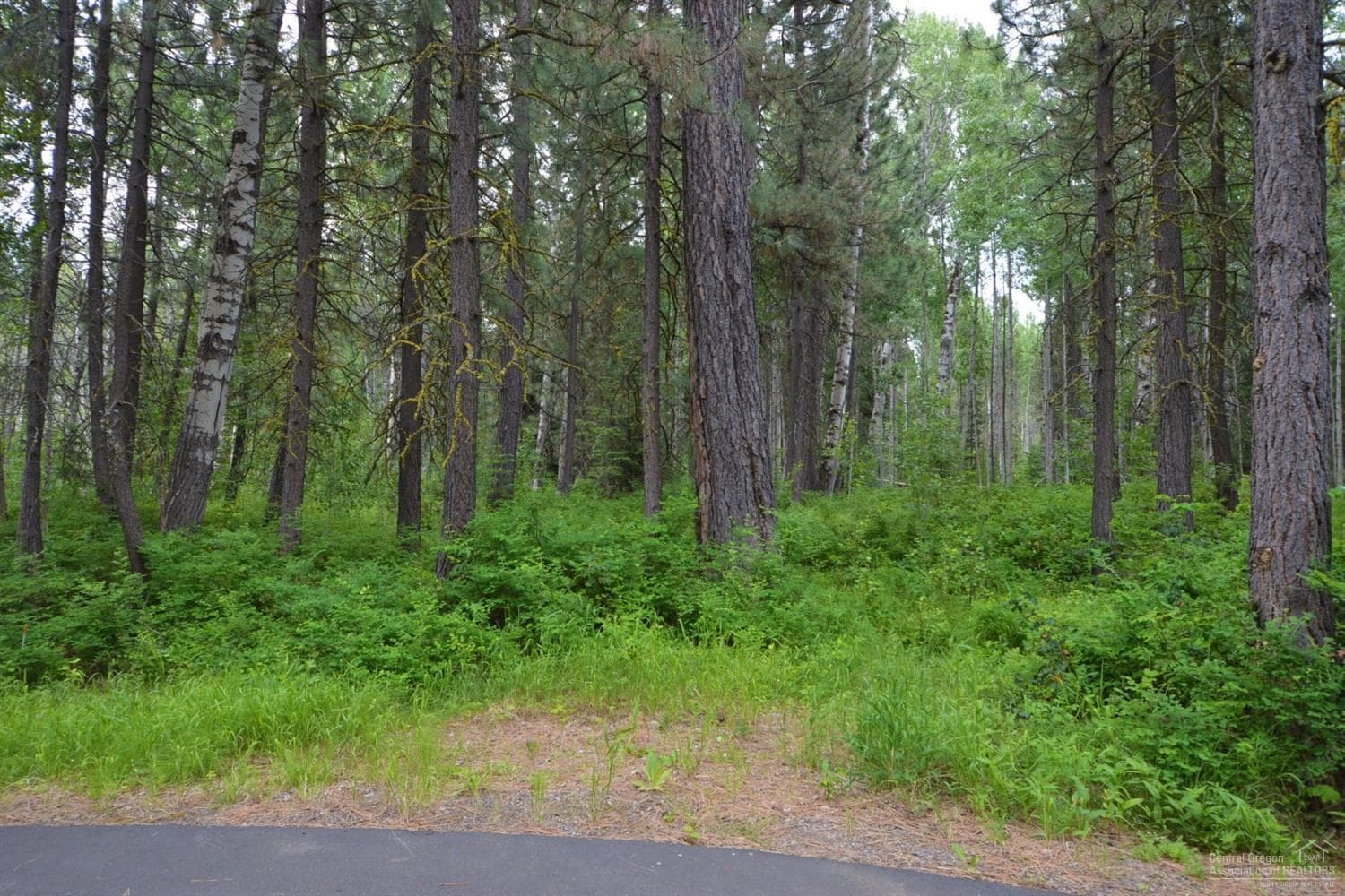 13279 Sorral Dock, Black Butte Ranch, 97759