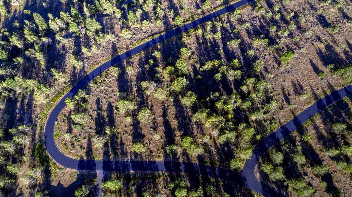 Photo of 986 Beattys Butte 3 of 27
