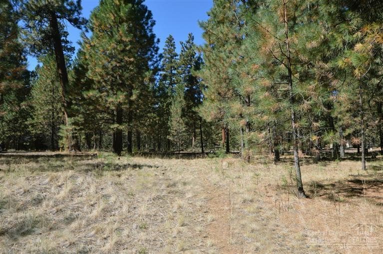 70930 Glacier Lily, Black Butte Ranch, 97759