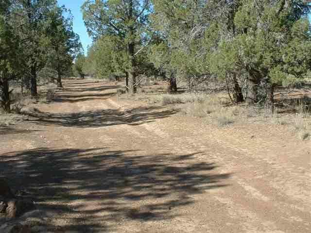 0 Lazy Ranch, Macdoel, 96058