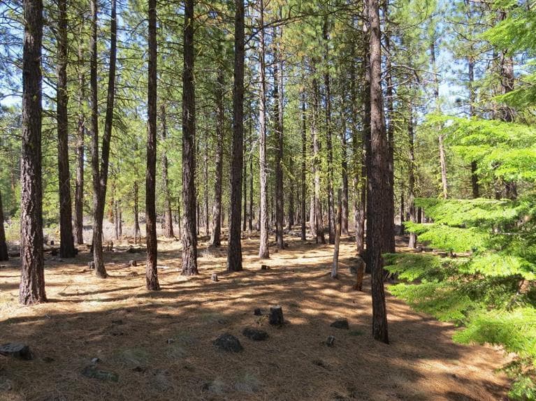 13571 Hawksbeard SM207, Black Butte Ranch, 97759
