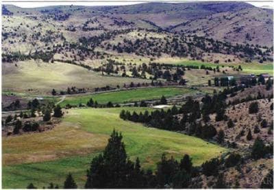 8151 Trout Creek Road, Ashwood, 97711
