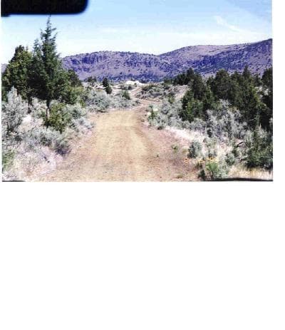 Still another look at the rangeland.