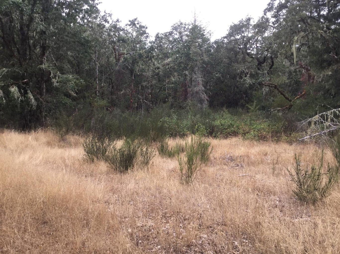 0 Diver Valley, Oakland, 97462