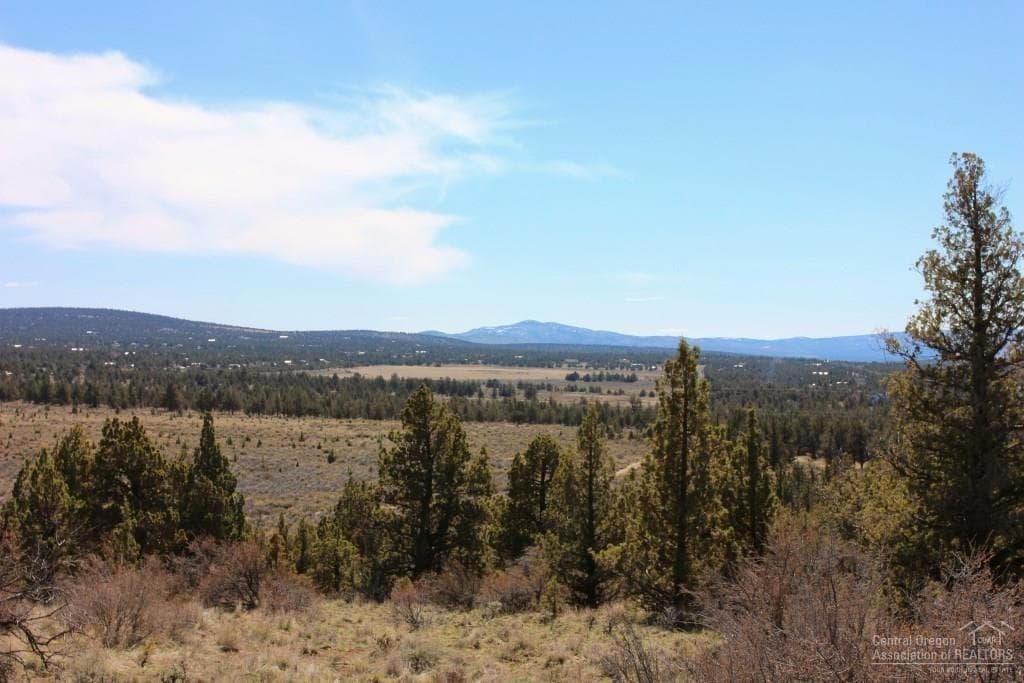 Lot 93 Hondo
