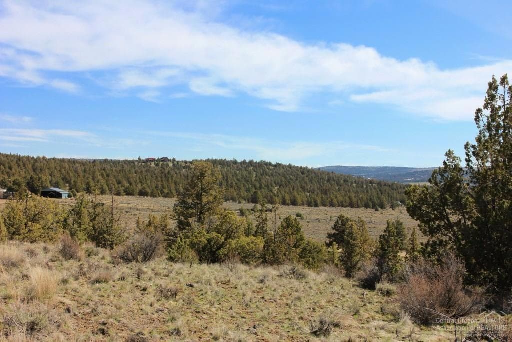 Photo of Lot 93 Hondo 2 of 13