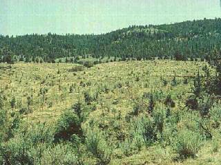 Photo of 103 Shotgun 2 of 3
