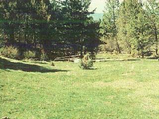 Photo of 103 Shotgun 3 of 3
