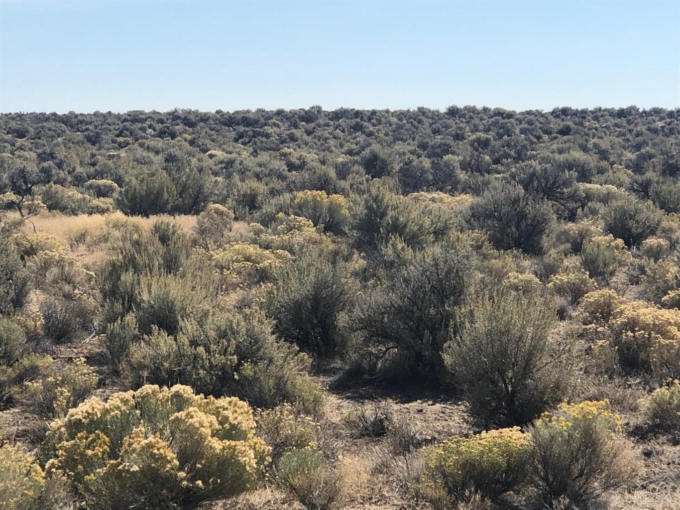 0 Antelope Vista Road, Fort Rock, 97735