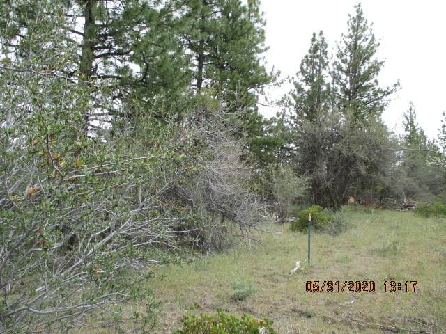 Lot 8 Prather, Beatty, 97621