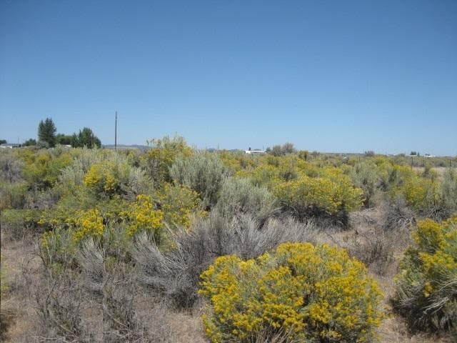 TL 4600 Willow [ 27S17E10-CC-04600], Christmas Valley, 97641
