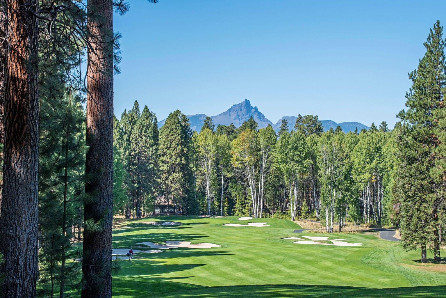 13296 Hawks Beard, Black Butte Ranch, 97759