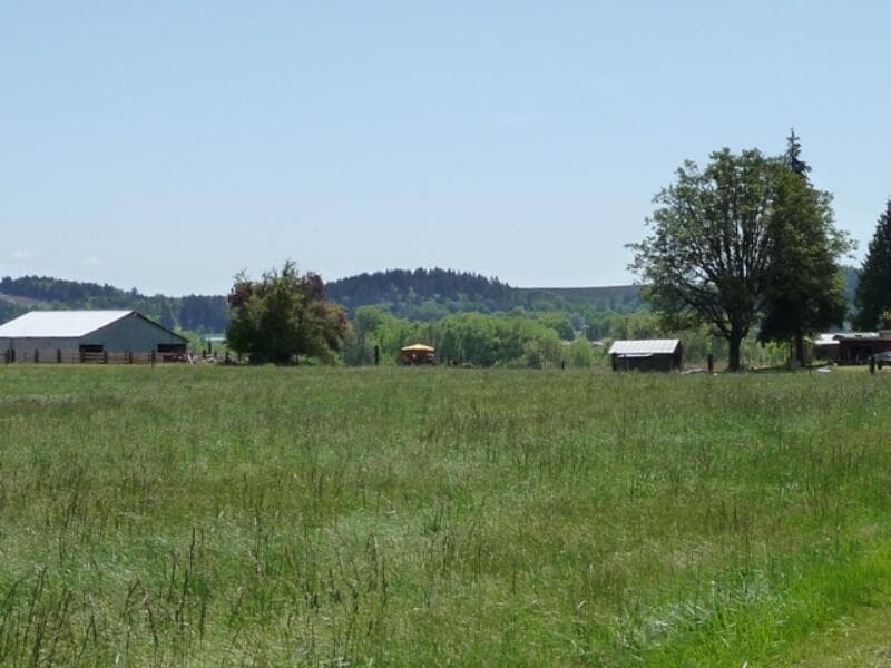 93551 Smyth, Junction City, 97448