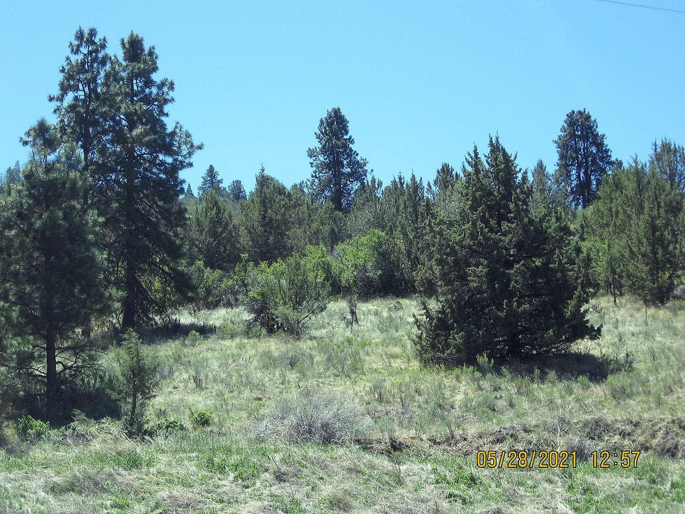 Photo of Lot 3 Peregrine Heights 4 of 13