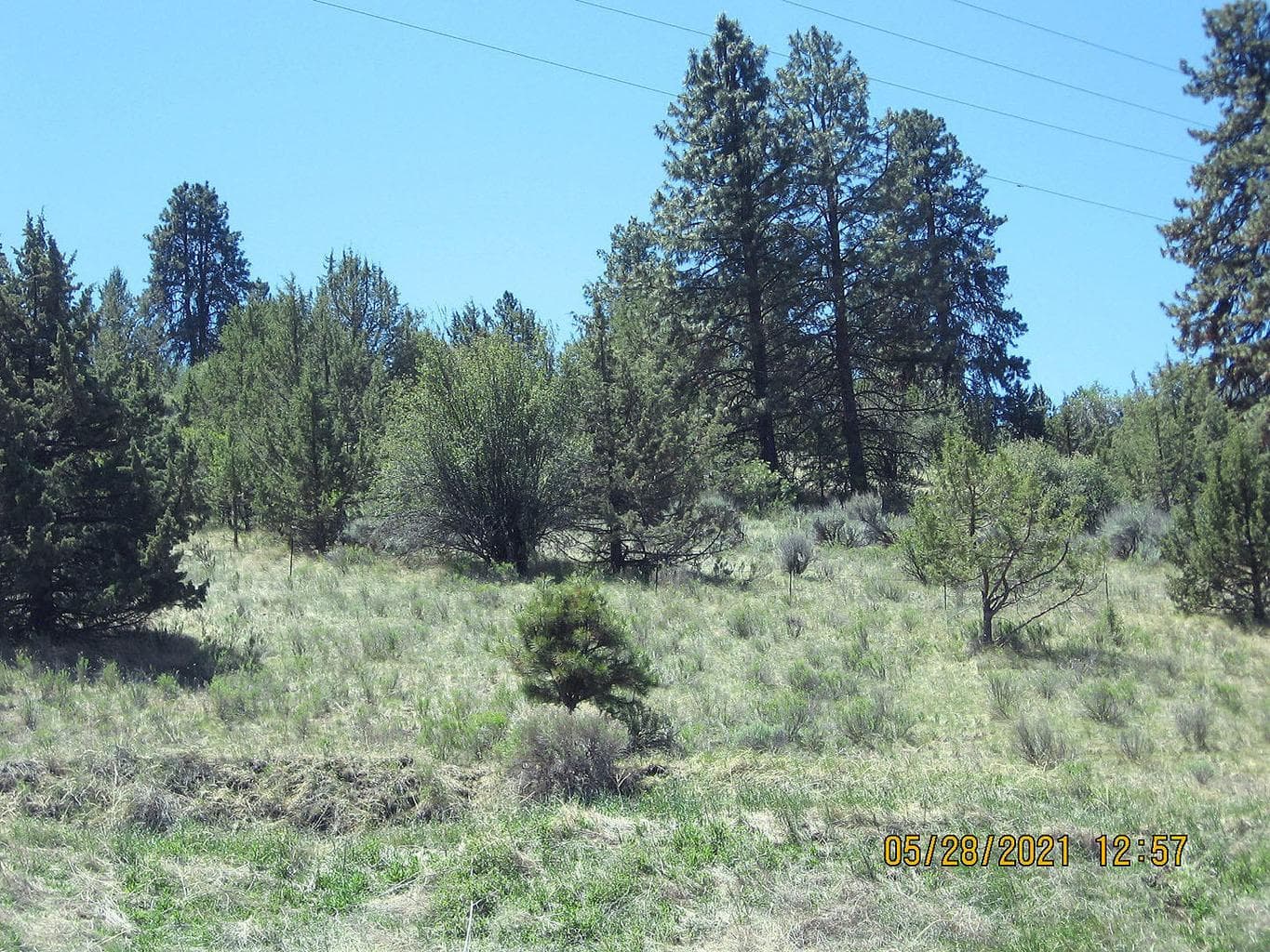 Photo of Lot 3 Peregrine Heights 5 of 13