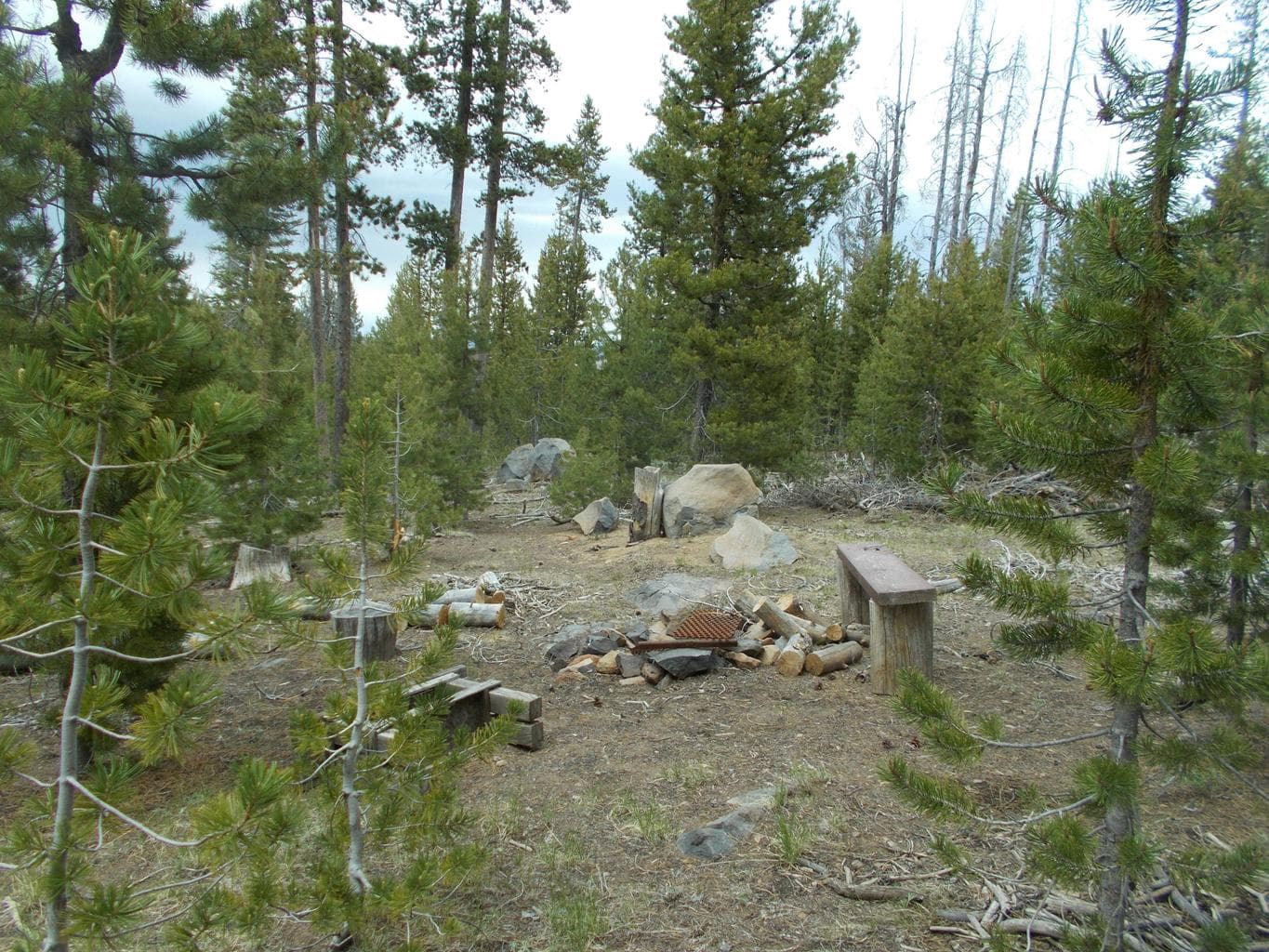 lot 4800 Birch, Paisley, 97636