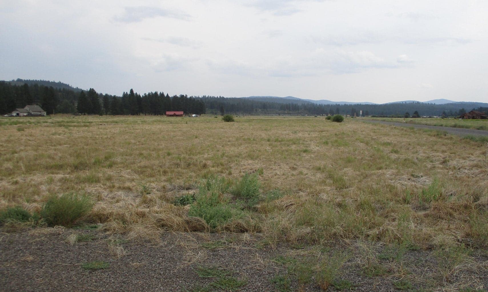 Photo of NKA Lot 21 Cattle 3 of 7