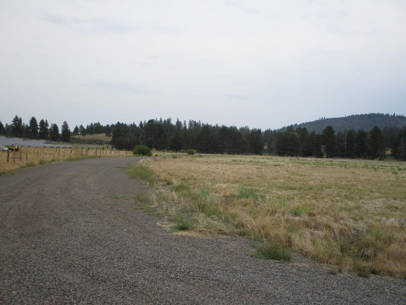 Photo of NKA Lot 21 Cattle 4 of 7