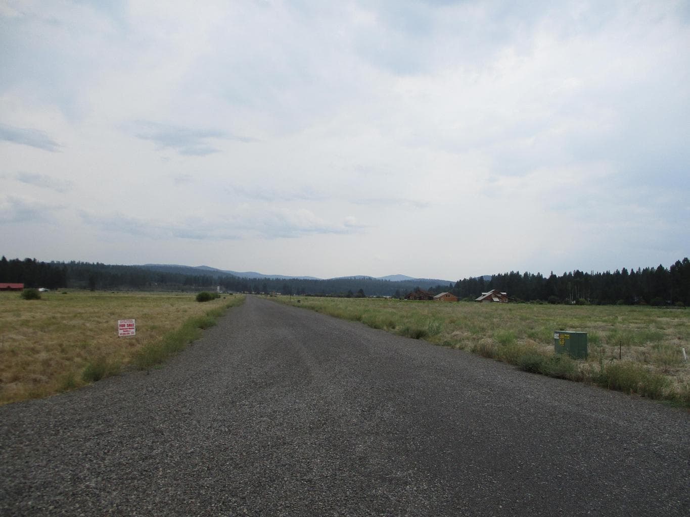 Photo of NKA Lot 21 Cattle 5 of 7