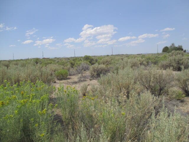 TL 2800 Bark [27S17E18-B0-02800], Christmas Valley, 97641