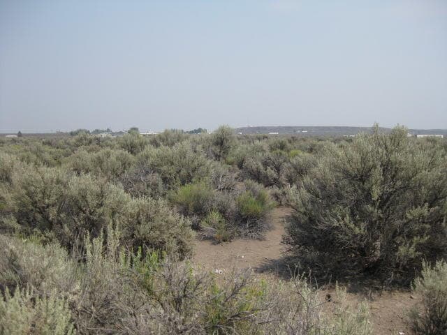 TL-1600 Bark (27S17E18-D0-01600), Christmas Valley, 97641