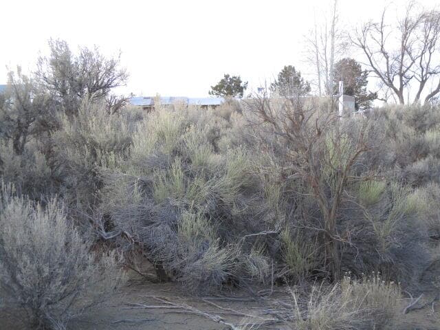 TL: 7300 Alder, Christmas Valley, 97641