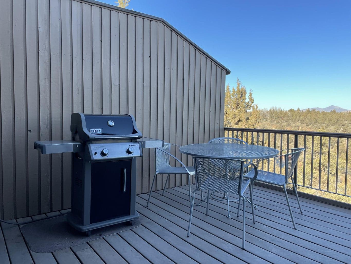 Photo of 1836 Redtail Hawk Drive 22 of 40