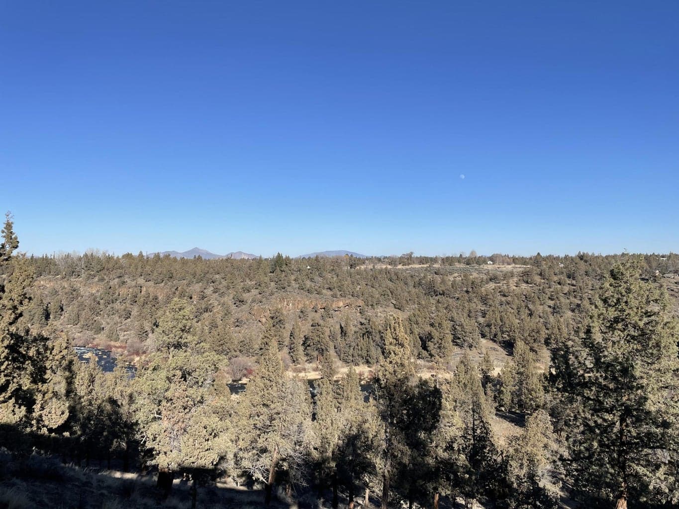 Photo of 1836 Redtail Hawk Drive 23 of 40