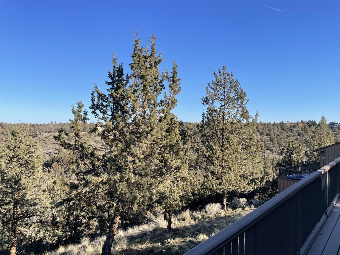 Photo of 1836 Redtail Hawk Drive 24 of 40