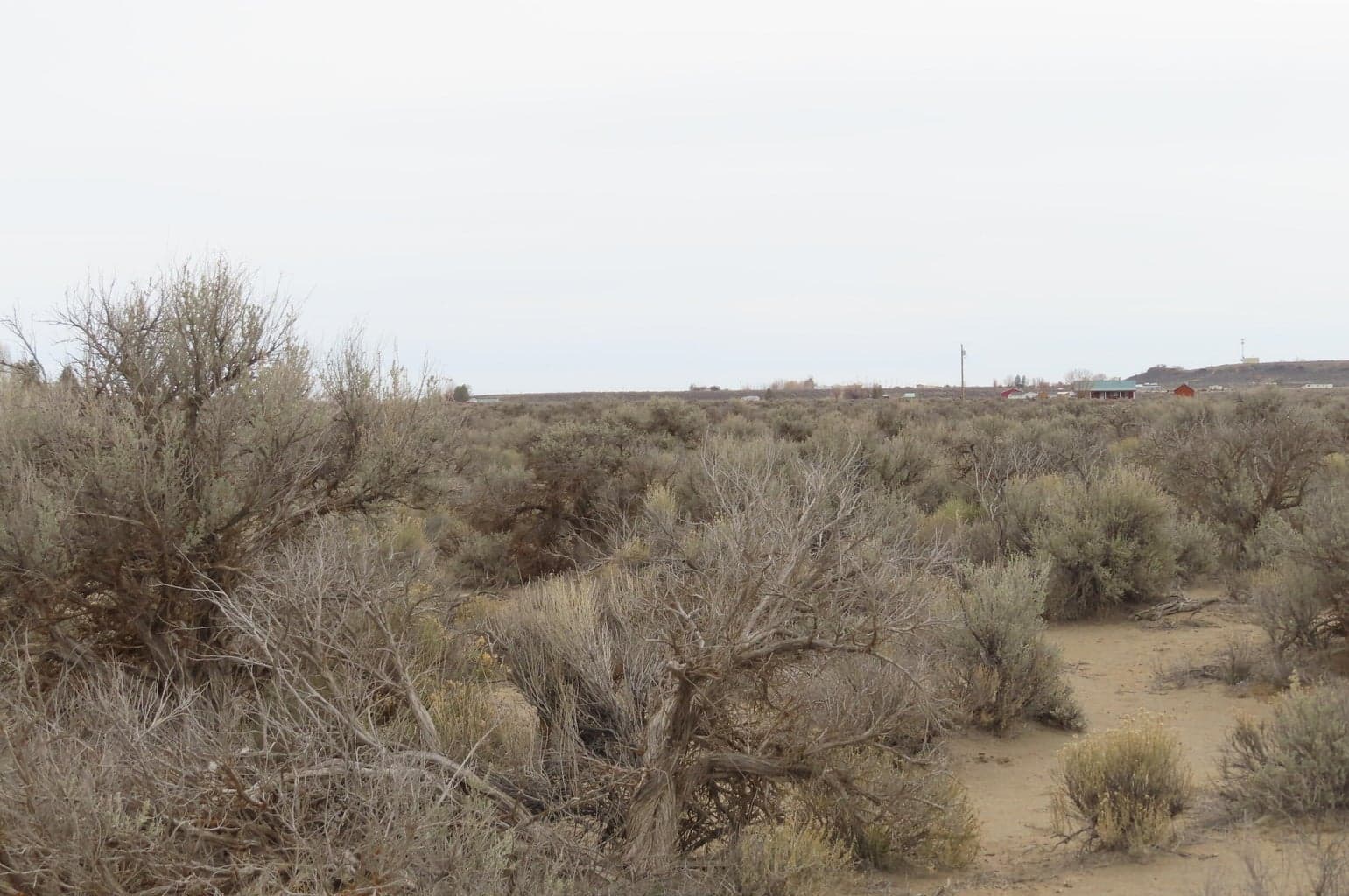 TL 1000 Bark, Christmas Valley, 97641