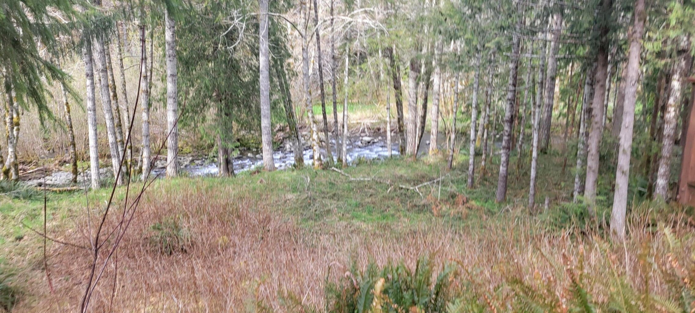 Photo of 247 Boulder Creek 3 of 31