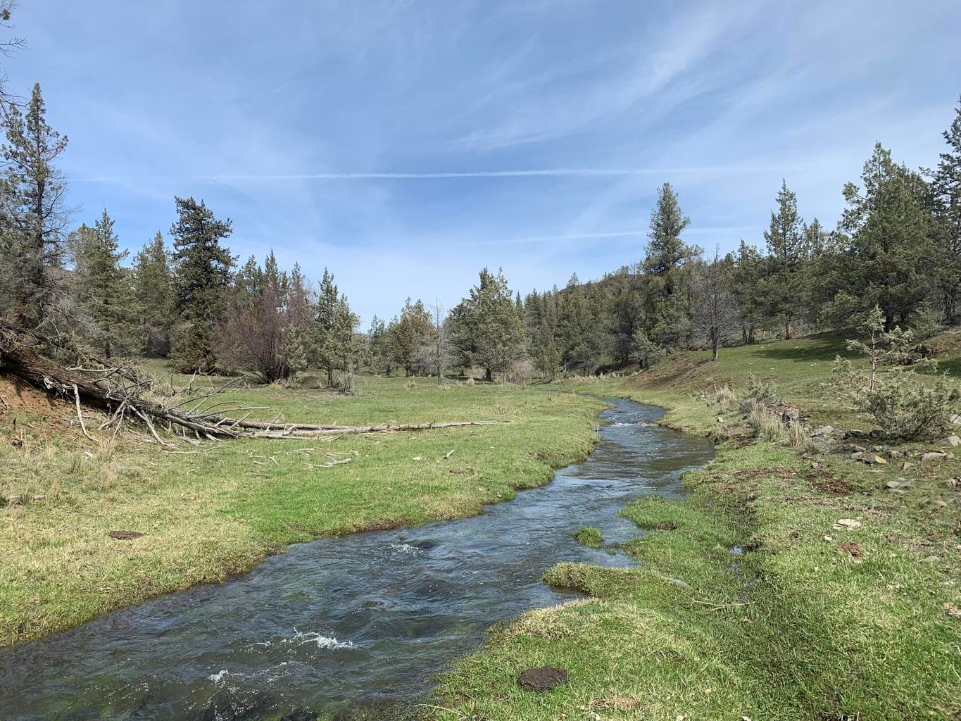 41222 Kahler Basin, Spray, 97874